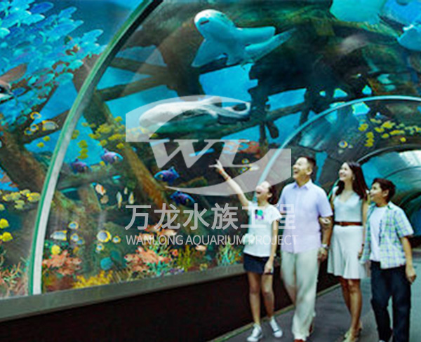 負壓魚缸安裝后多久可以注水？
