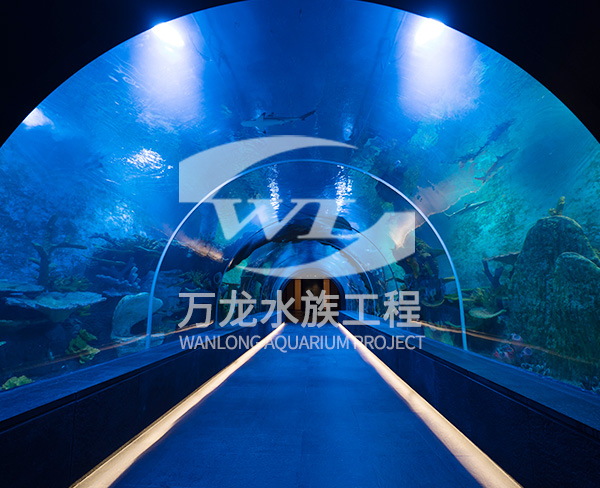 如何辨別錦鯉魚缸的材質？