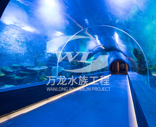 大型海洋主題公園如何構建景觀和布局？