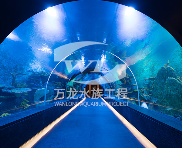 大型水族館的工作原理是什么？