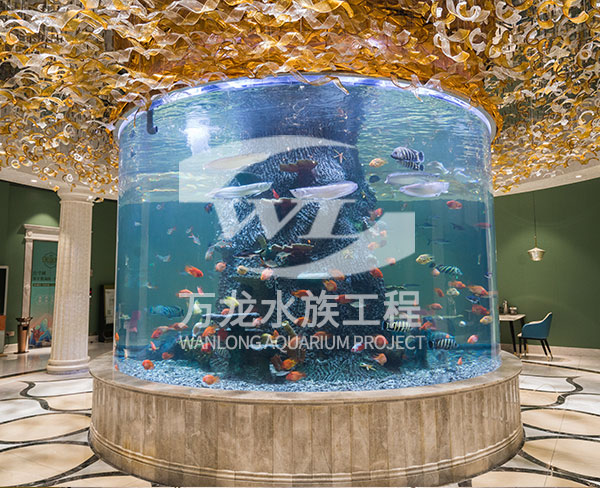 六安澳門豆撈圓柱亞克力魚(yú)缸