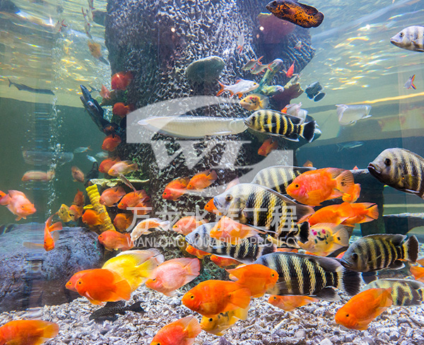 負(fù)壓魚缸的圓柱形設(shè)計(jì)對(duì)承重有何要求？