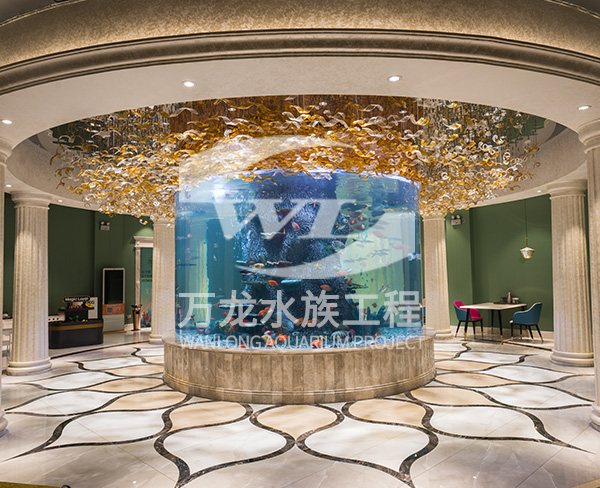 萌寵樂園的發(fā)展趨勢(shì)和未來前景如何？