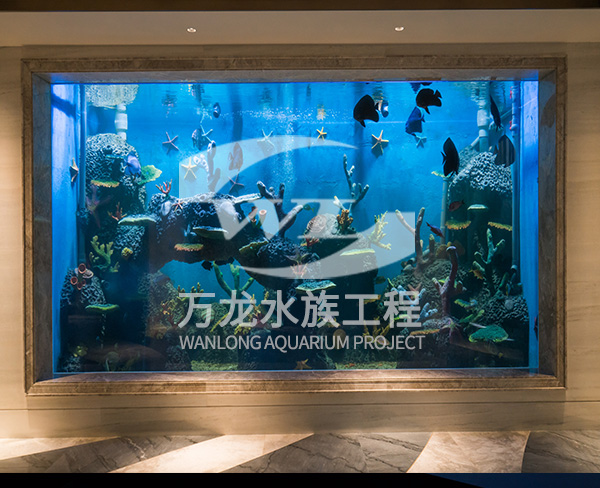 諸暨御江灣地下室亞克力魚(yú)缸