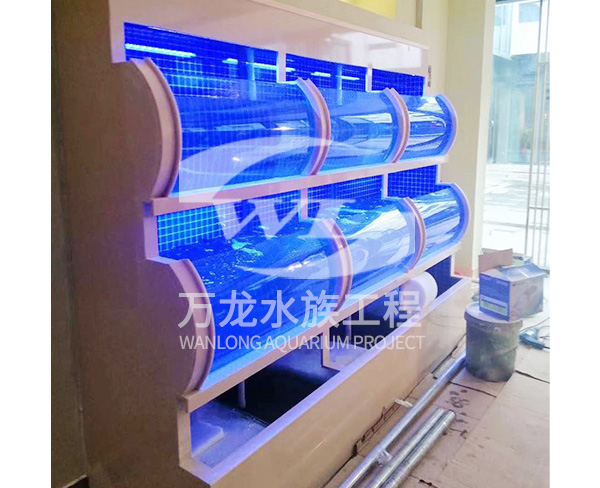 負壓魚缸需要加裝照明設備嗎？