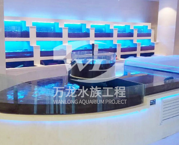 大型亞克力魚缸需要加裝過濾器嗎？