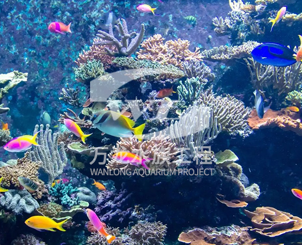 海底景觀設計