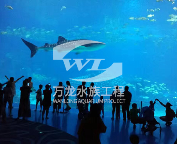 飯店魚缸玻璃的功能