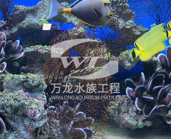 海底景觀設計