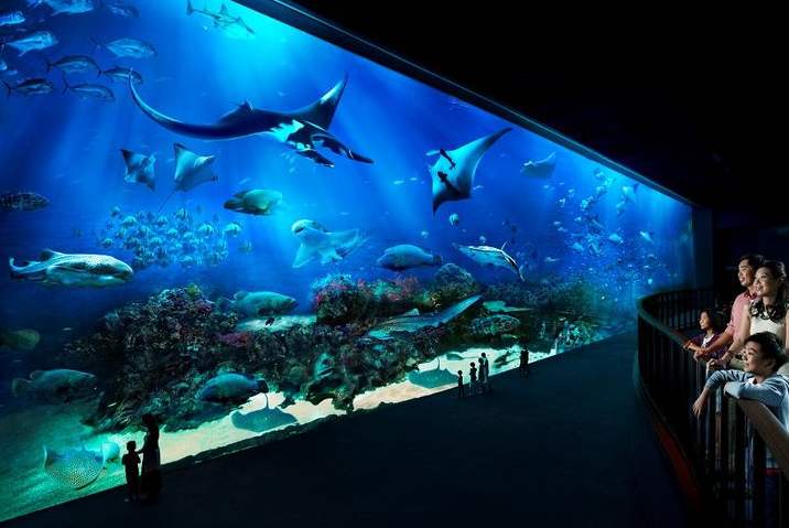 如何辨別負壓魚缸的材質？