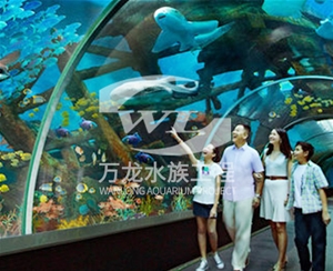 吃奶魚魚缸的過濾器使用特點