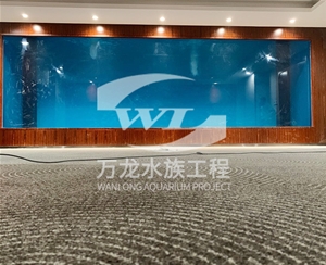 釣蝦魚缸日常維護方法