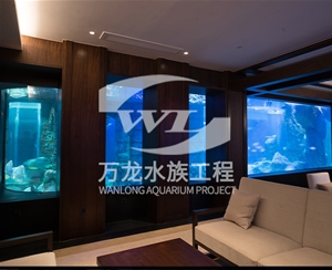 大型魚缸缸體表面發黃怎么解決