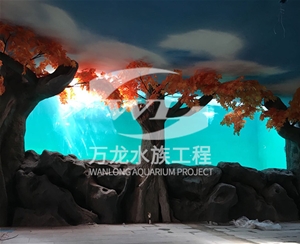 辦公室魚(yú)缸爆裂是什么問(wèn)題呢？    