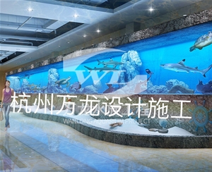 如何清理觀賞魚缸