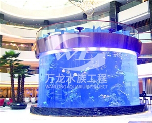 辦公室魚缸為什么有異味