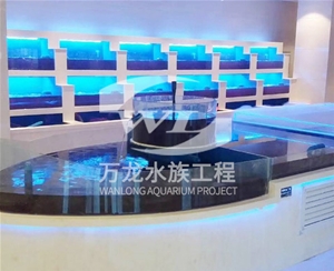 飯店魚缸日常維護(hù)方法