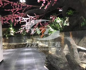 萌寵樂園