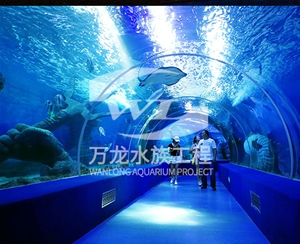 負壓魚缸爆裂是什么問題呢？    