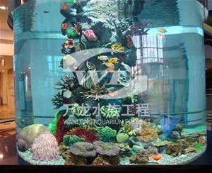 如何辨別喂奶魚魚缸的材質(zhì)？