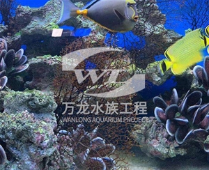 海底景觀設(shè)計(jì)