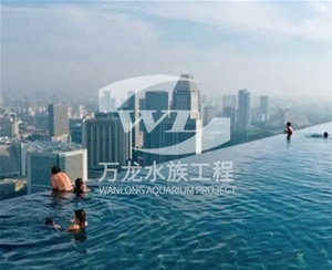 觀賞魚缸的過濾器使用特點