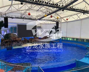 飯店魚缸的維護操作是什么